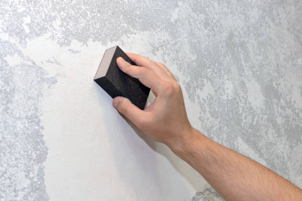 Best Mold Odor Removal Services  in Wilmington Island, GA