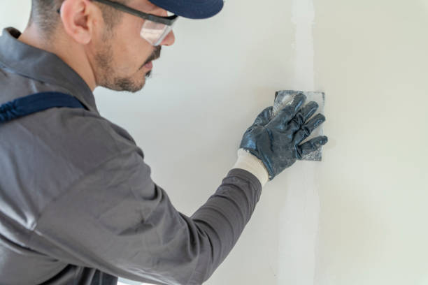 Best Mold Odor Removal Services  in Wilmington Island, GA
