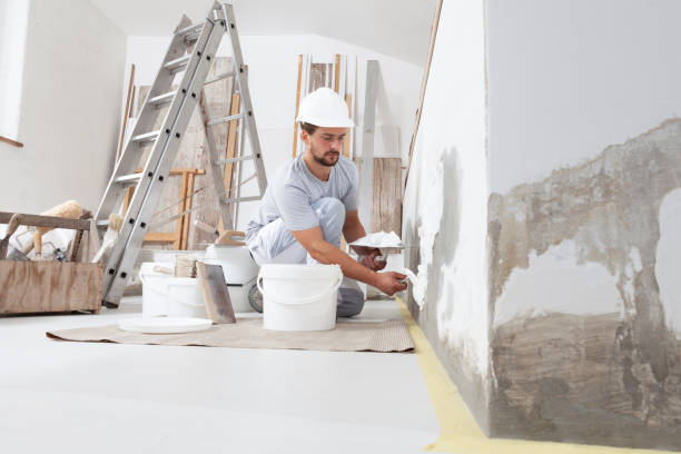 Best Emergency Mold Remediation  in Wilmington Island, GA