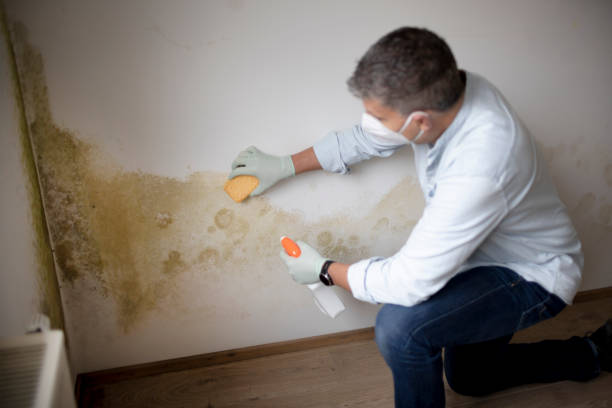 Best Post-Remediation Verification Testing  in Wilmington Island, GA