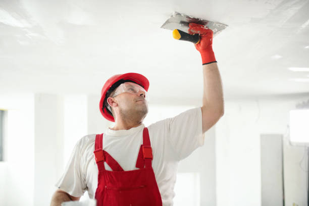 Best Dehumidification Services  in Wilmington Island, GA